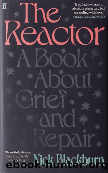 The Reactor by Nick Blackburn