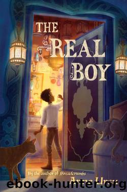 The Real Boy by Ursu Anne