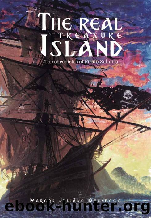 The Real Treasure Island: the chronicles of pirate Zulmiro by Ofenbock Marcos Juliano