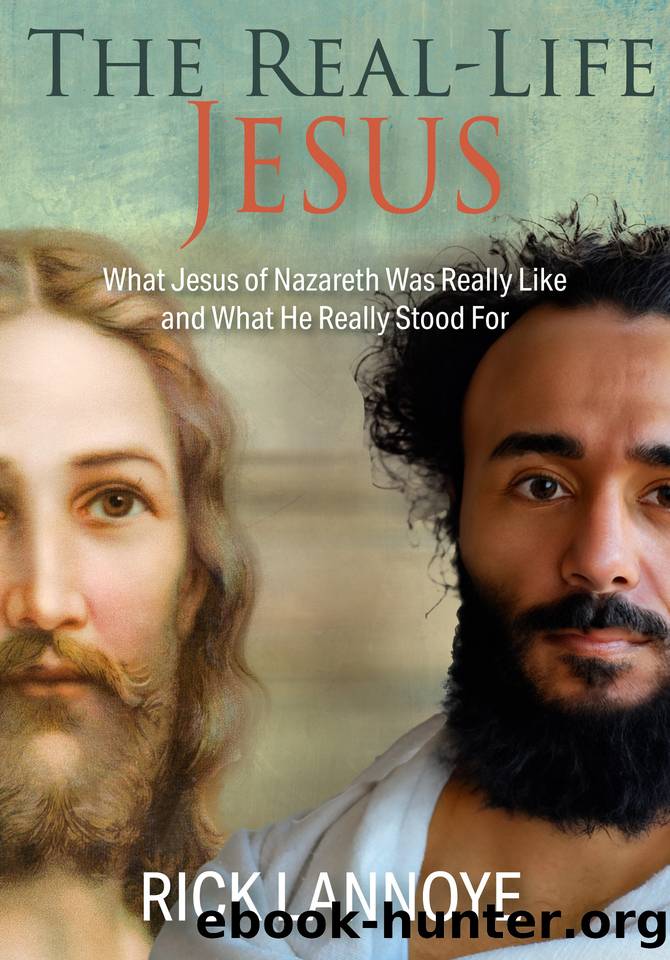 The Real-Life Jesus: What Jesus of Nazareth Was Really Like and What He Really Stood For by Lannoye Rick