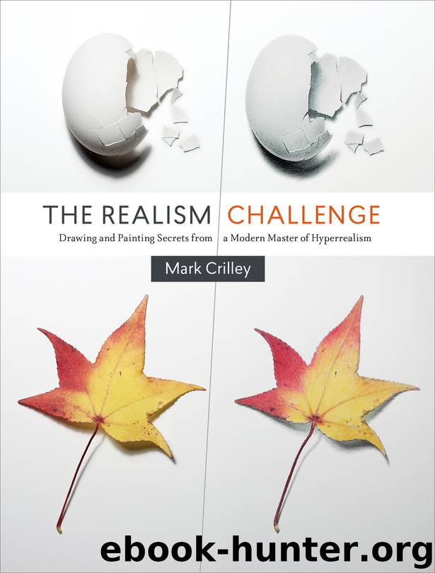 The Realism Challenge by Mark Crilley