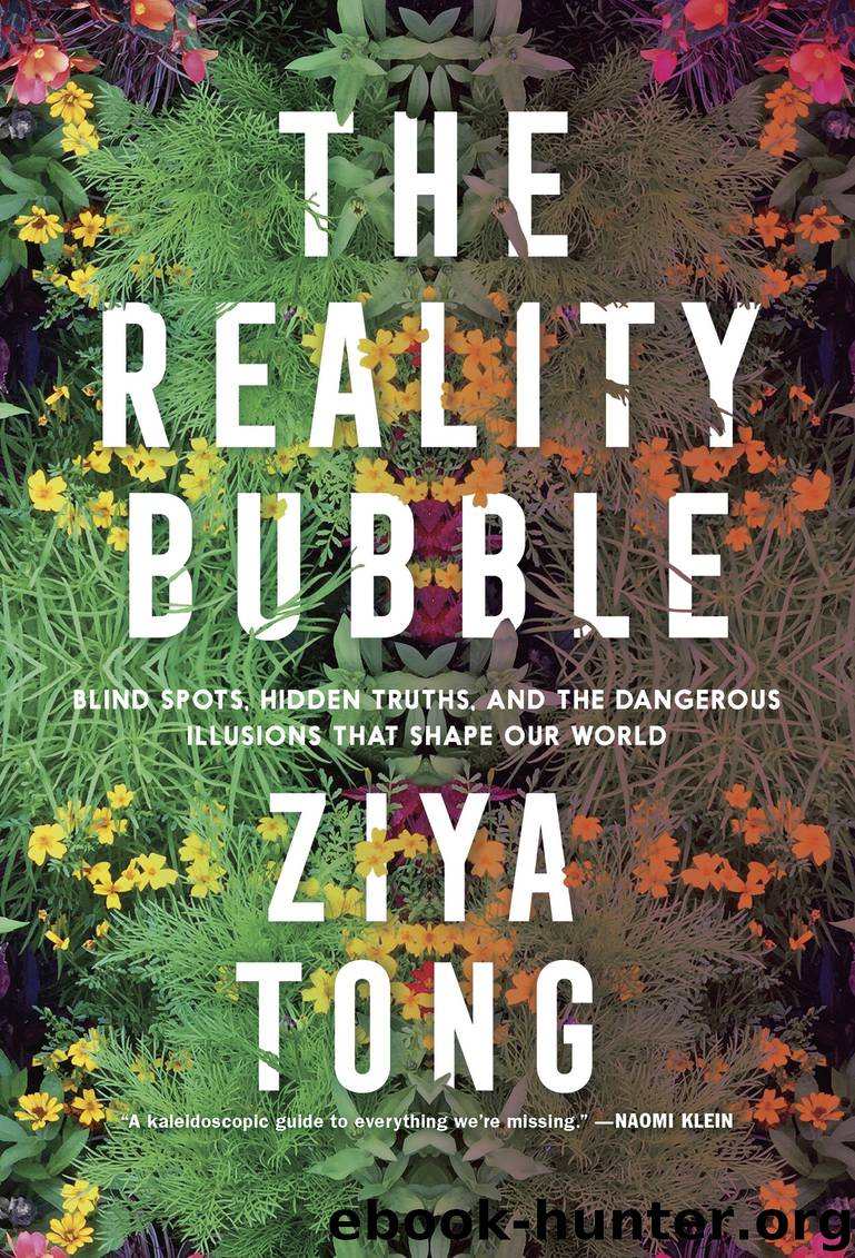 The Reality Bubble by Ziya Tong