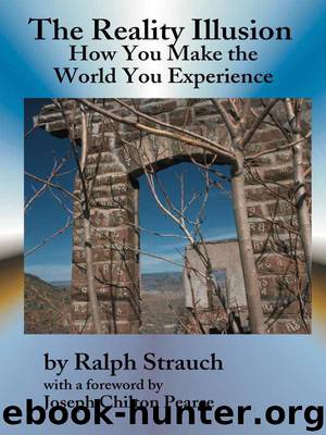 The Reality Illusion: How You Make the World You Experience by Strauch Ralph