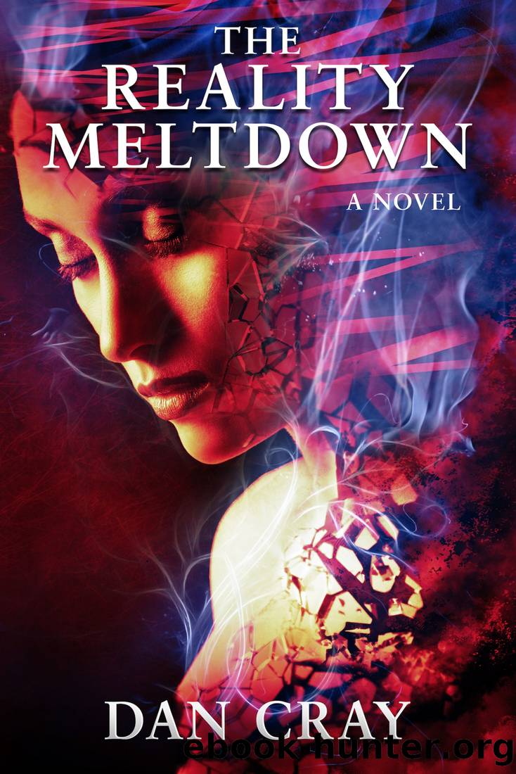 The Reality Meltdown by Dan Cray