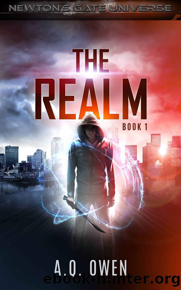 The Realm by A Q Owen