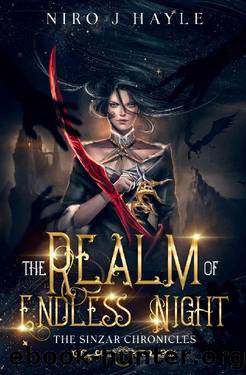 The Realm of Endless Night: The Sinzar Chronicles Book 1 by Niro J Hayle