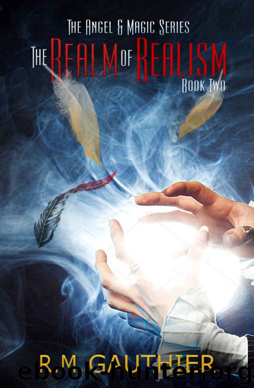 The Realm of Realism by R M Gauthier