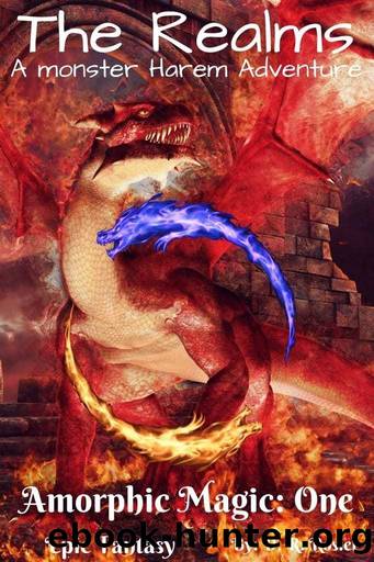 The Realms by D. R. Rosier
