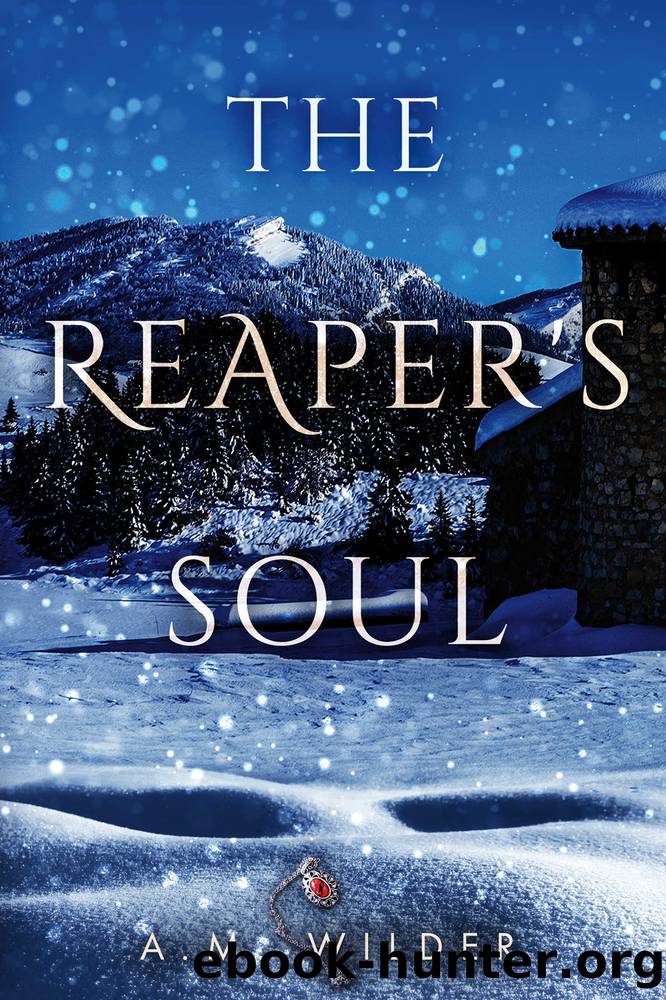 The Reaper's Soul by A.M. Wilder