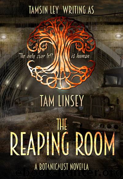 The Reaping Room by Tam Linsey