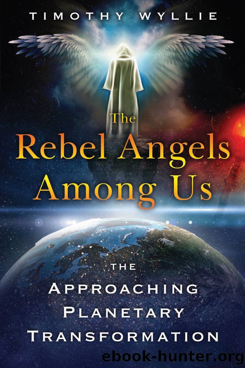 The Rebel Angels among Us by Timothy Wyllie