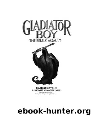The Rebels' Assault by David Grimstone