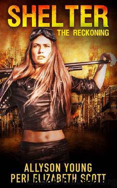 The Reckoning by Allyson Young & Peri Elizabeth Scott