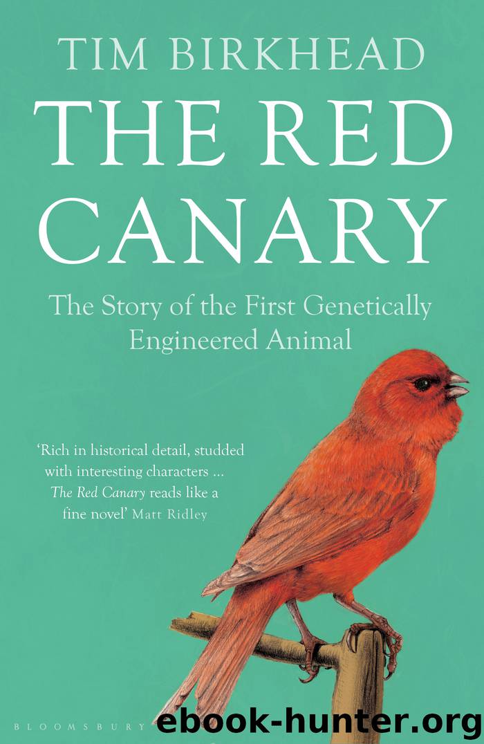 The Red Canary by Tim Birkhead