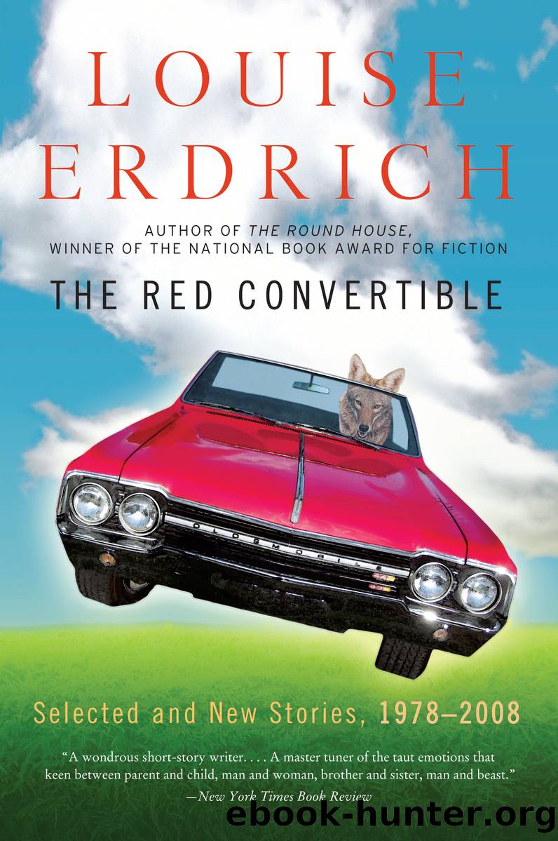 The Red Convertible by Louise Erdrich