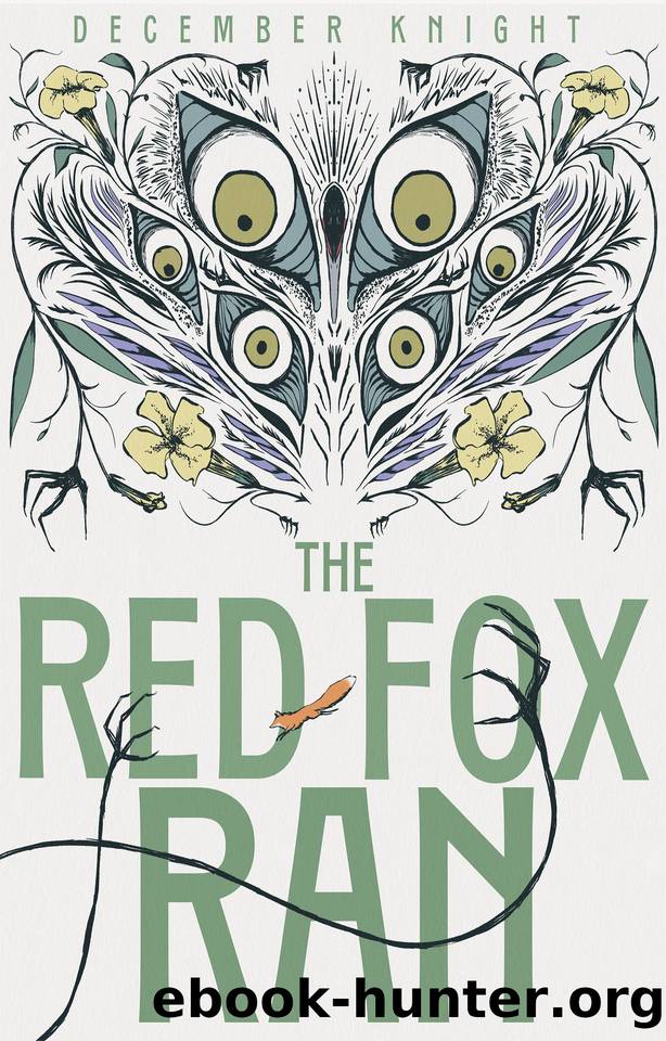 The Red Fox Ran by Knight December