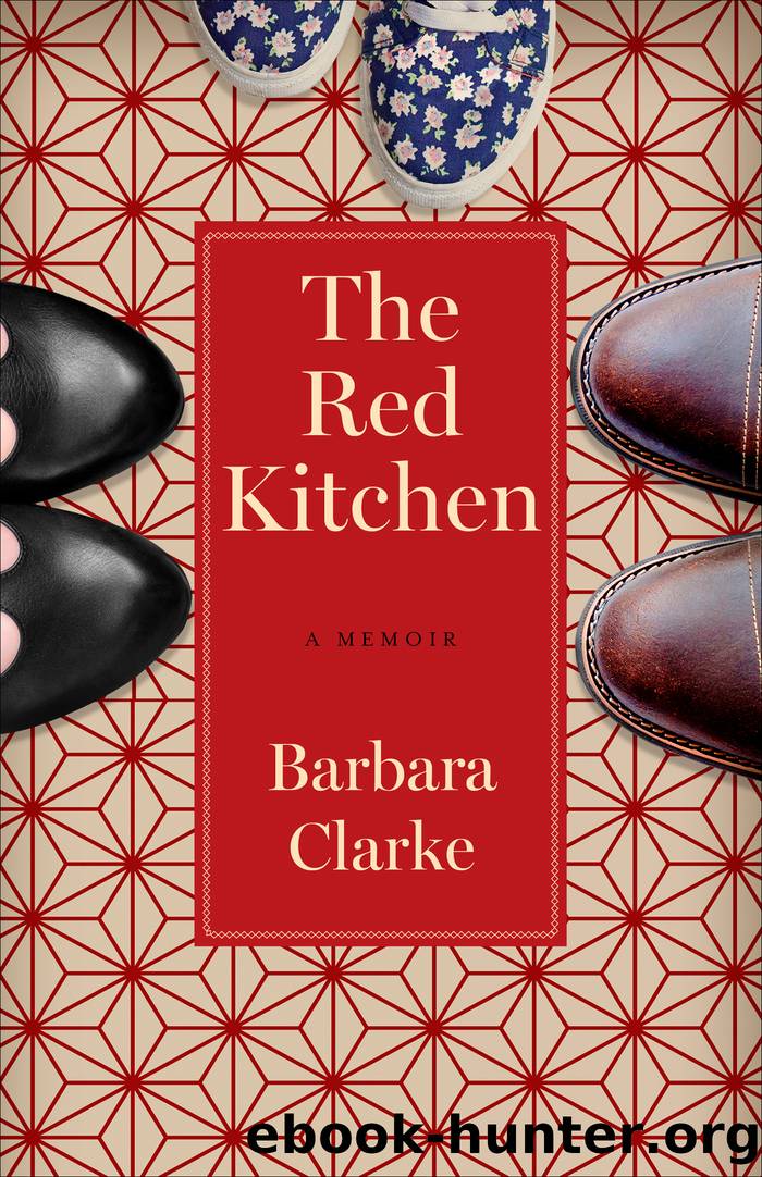 The Red Kitchen by Barbara Clarke