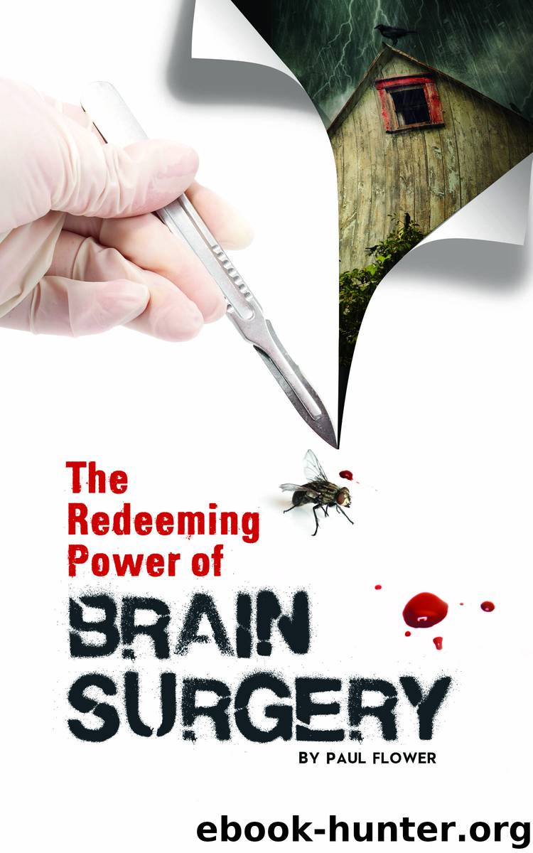 The Redeeming Power of Brain Surgery by Paul Flower