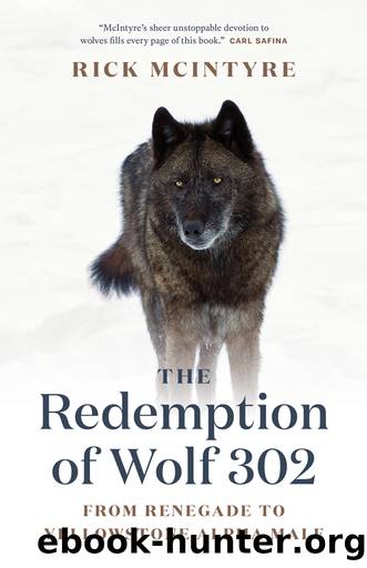 The Redemption of Wolf 302 by Rick McIntyre