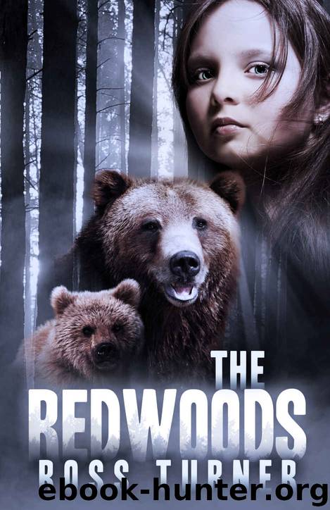 The Redwoods by Ross Turner