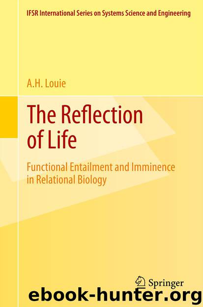 The Reflection of Life by A. H. Louie