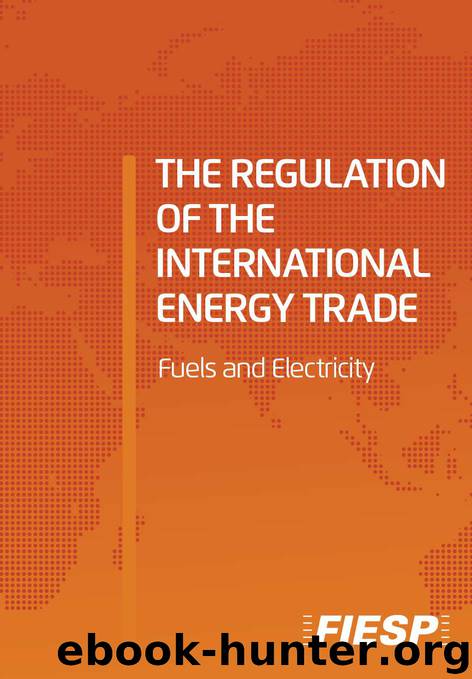 The Regulation of The International Energy Trade - Fuels and Eletricity by Carlos A. Cavalcanti