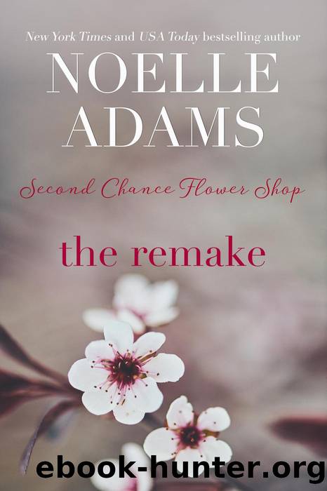The Remake by Noelle Adams