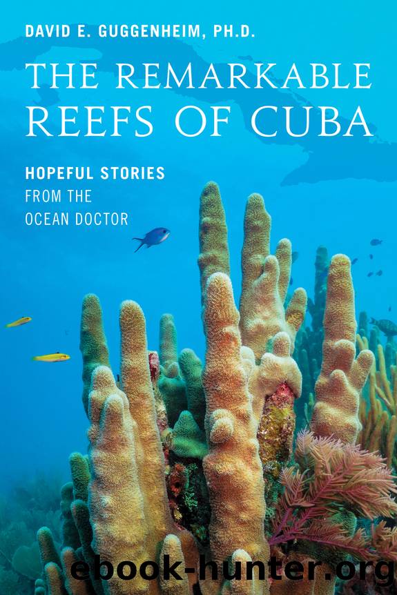 The Remarkable Reefs of Cuba by David E. Guggenheim