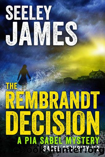 The Rembrandt Decision by Seeley James