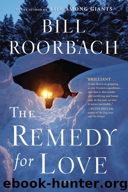 The Remedy for Love by Bill Roorbach