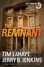 The Remnant: On the Brink of Armageddon (Left Behind Book 10) by LaHaye Tim & Jenkins Jerry B