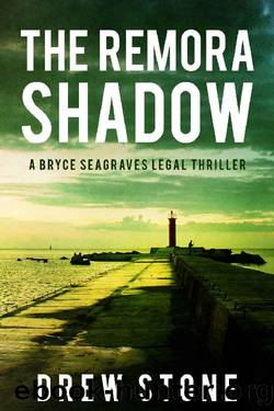 The Remora Shadow (Bryce Seagraves Book 1) by Drew Stone