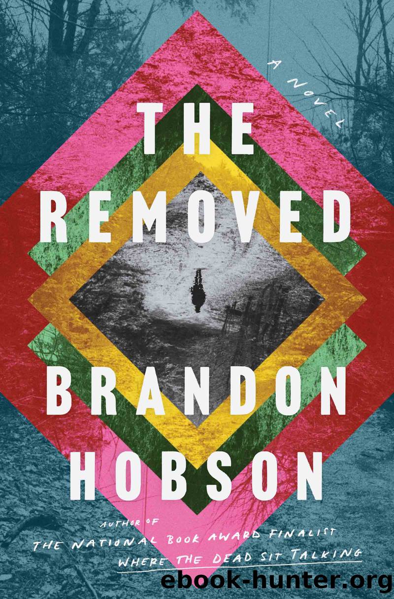 The Removed by Brandon Hobson