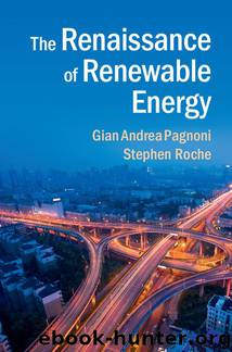 The Renaissance of Renewable Energy by Gian Andrea Pagnoni & Stephen Roche