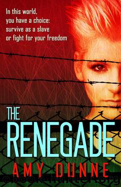 The Renegade by Amy Dunne