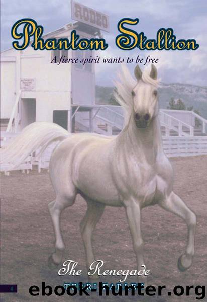 The Renegade by Terri Farley