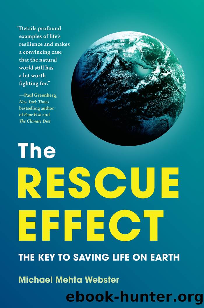 The Rescue Effect by Michael Mehta Webster