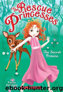 The Rescue Princesses #1: Secret Promise by Paula Harrison
