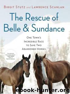 The Rescue of Belle and Sundance by Birgit Stutz
