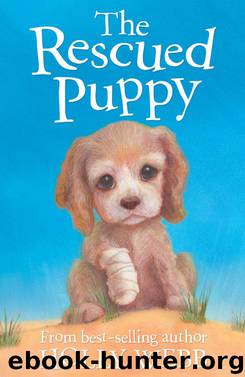 The Rescued Puppy by Holly Webb