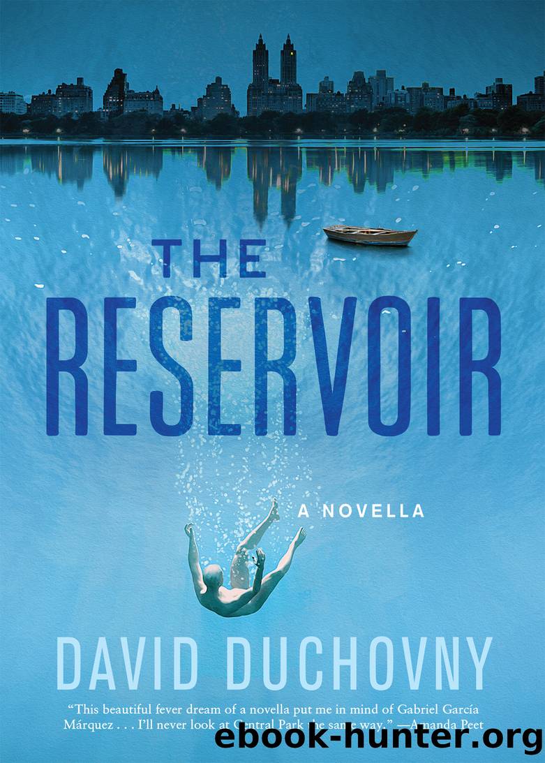 The Reservoir by David Duchovny
