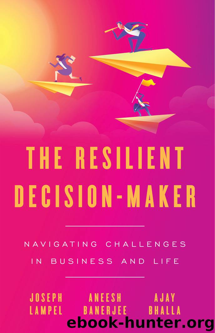 The Resilient Decision-Maker by Joseph Lampel