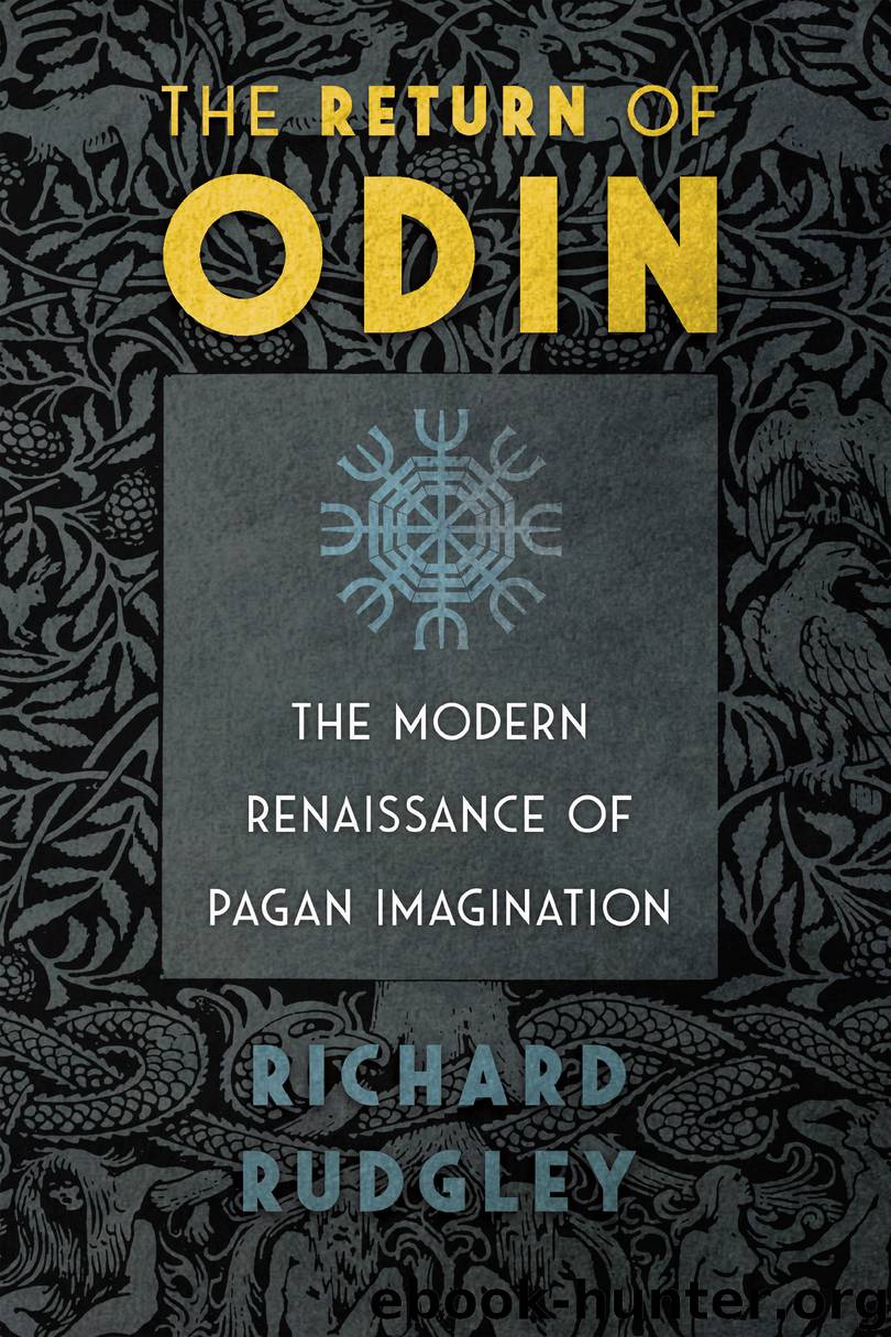 The Return of Odin by Richard Rudgley