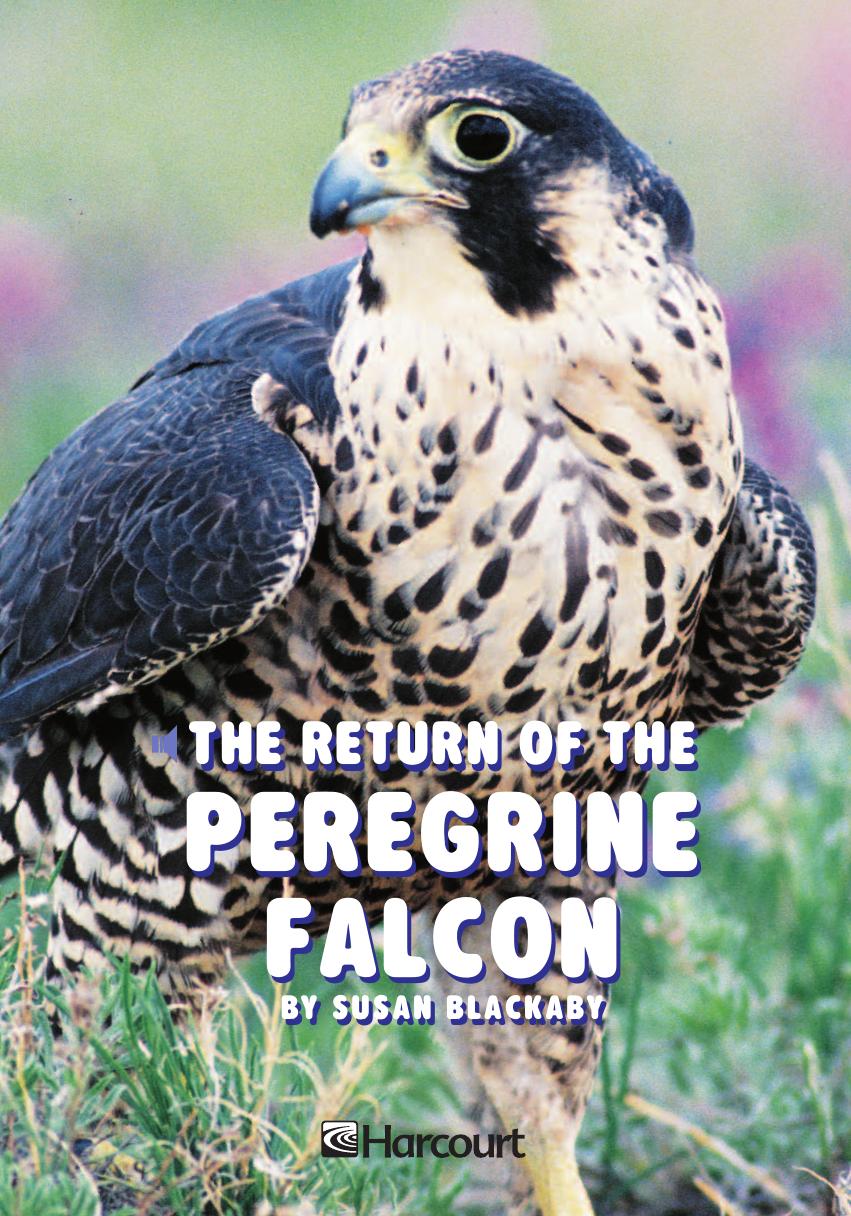 The Return of the Peregrine Falcon by Unknown