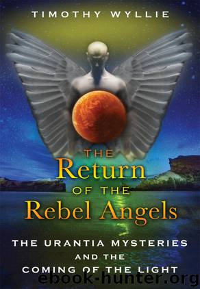 The Return of the Rebel Angels by Timothy Wyllie