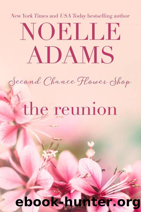 The Reunion (Second Chance Flower Shop, #3) by Noelle Adams