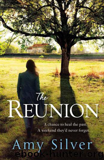 The Reunion by Silver Amy