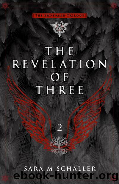 The Revelation of Three by Sara M Schaller