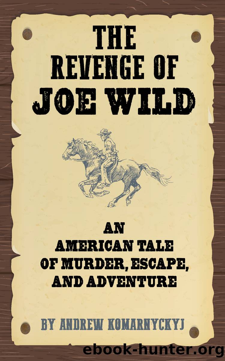 The Revenge of Joe Wild by Andrew Komarnyckyj