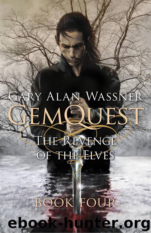 The Revenge of the Elves by Gary Alan Wassner